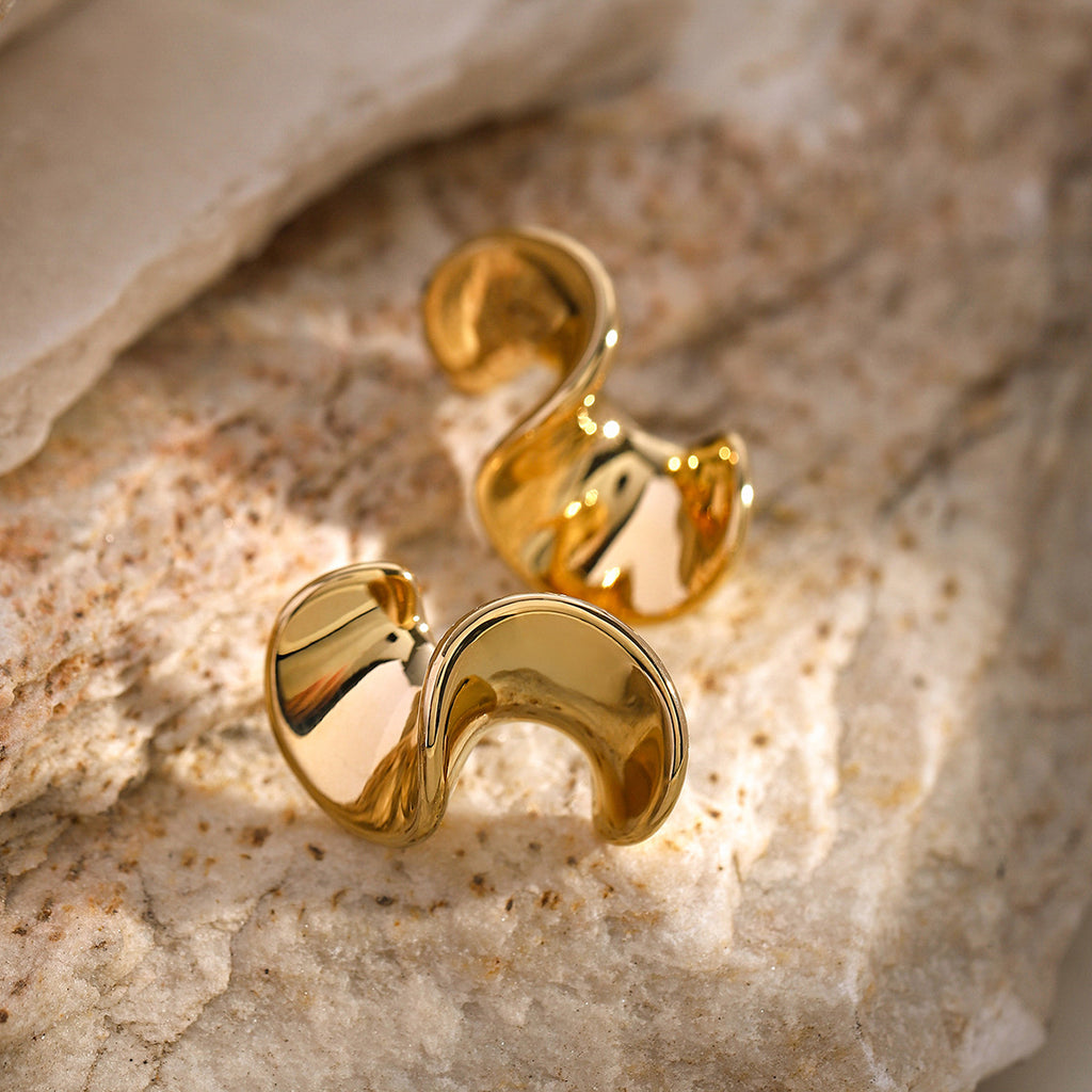 The Spiral Earrings