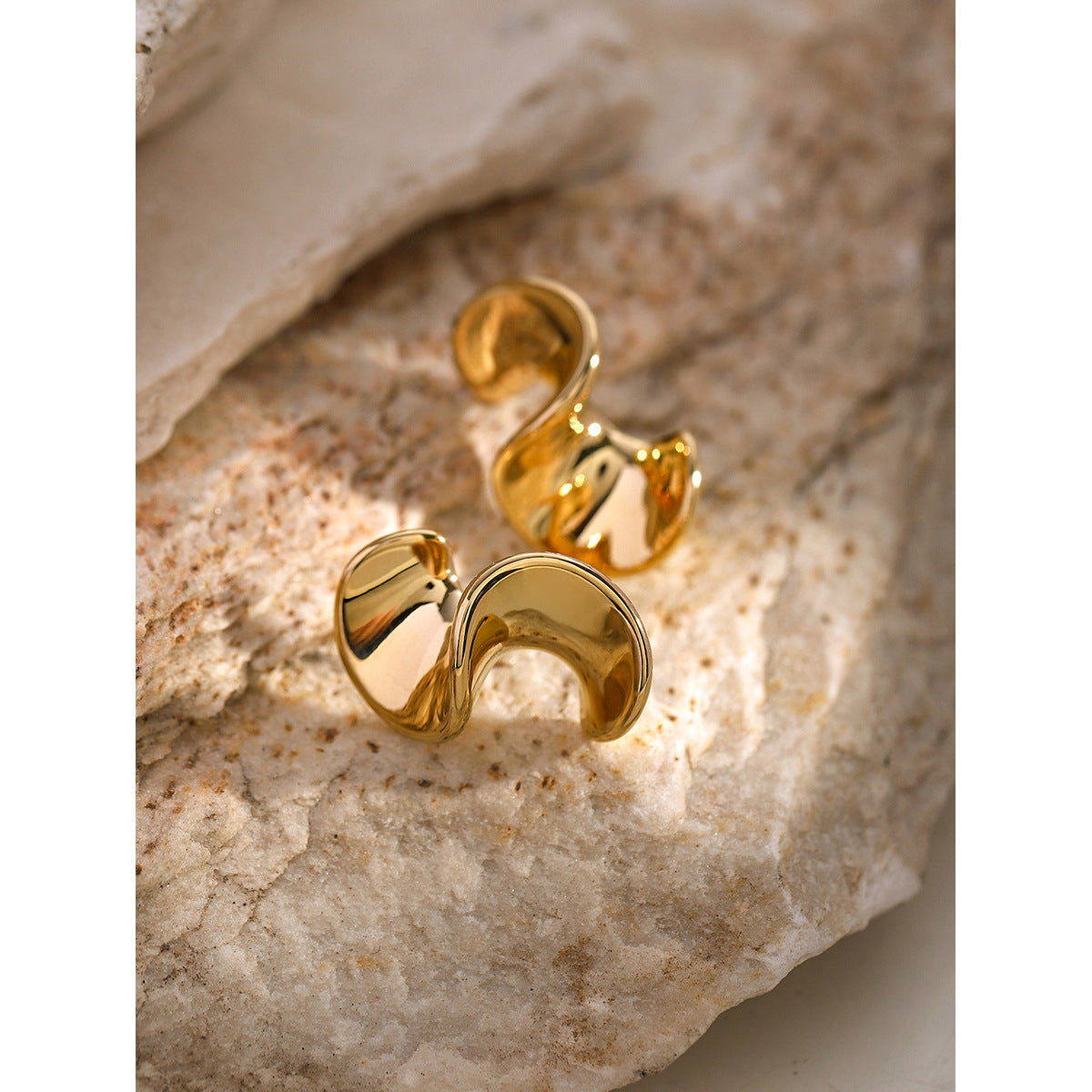 The Spiral Earrings